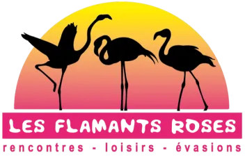galeries-test.les-flamants-roses.ch
